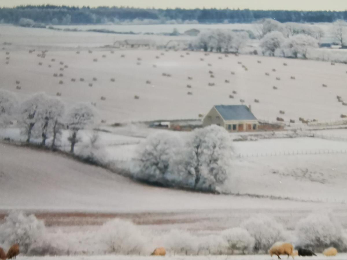 Bed and Breakfast Hillhaven Bed &Breakfast Фортроз Экстерьер фото
